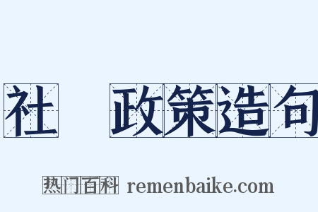 社會政策造句是什么意思的图片